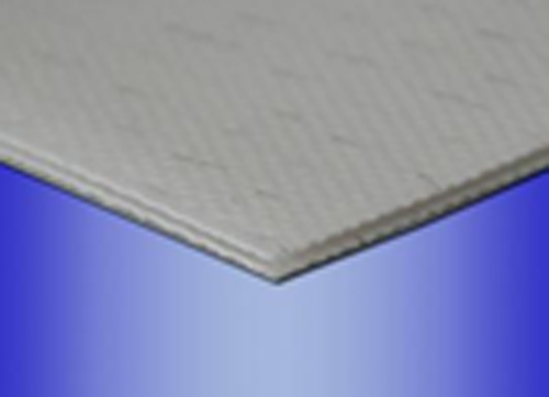 浙江財(cái)玉傳動(dòng)科技有限公司/CAIYUBELT/PE輸送帶