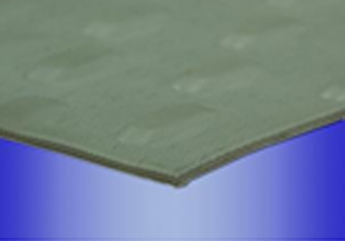 浙江財(cái)玉傳動(dòng)科技有限公司/CAIYUBELT/PE輸送帶