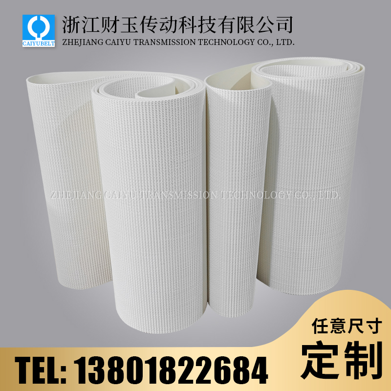 浙江財(cái)玉傳動(dòng)科技有限公司/CAIYUBELT/PVC白色草型紋輸送帶