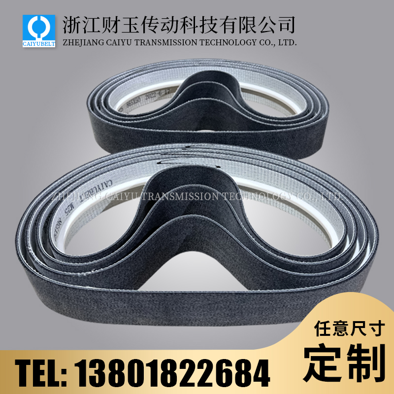 浙江財(cái)玉傳動(dòng)科技有限公司/CAIYUBELT/毛氈輸送帶