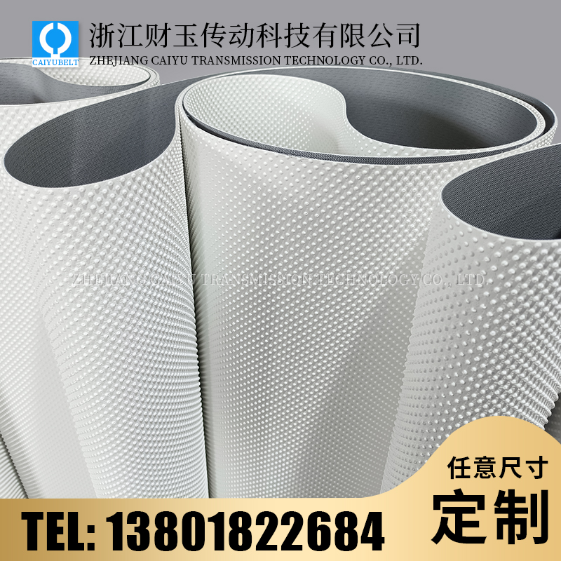 浙江財(cái)玉傳動(dòng)科技有限公司/CAIYUBELT/小圓點(diǎn)花紋輸送帶