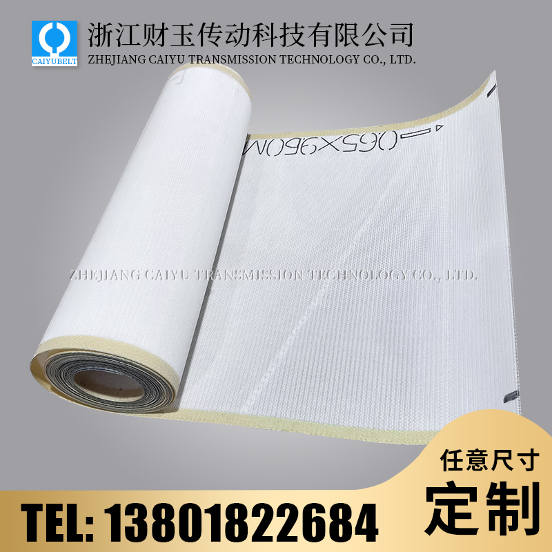 浙江財玉傳動科技有限公司/CAIYUBELT/尼龍網(wǎng)傳送帶