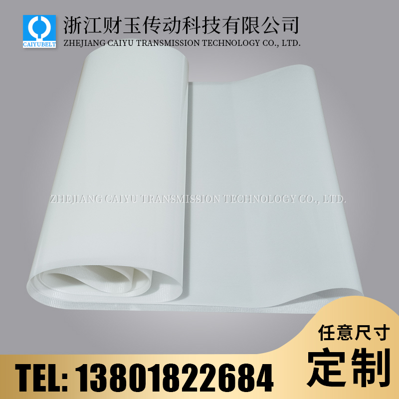 浙江財(cái)玉傳動(dòng)科技有限公司/CAIYUBELT/PVC透明輸送帶