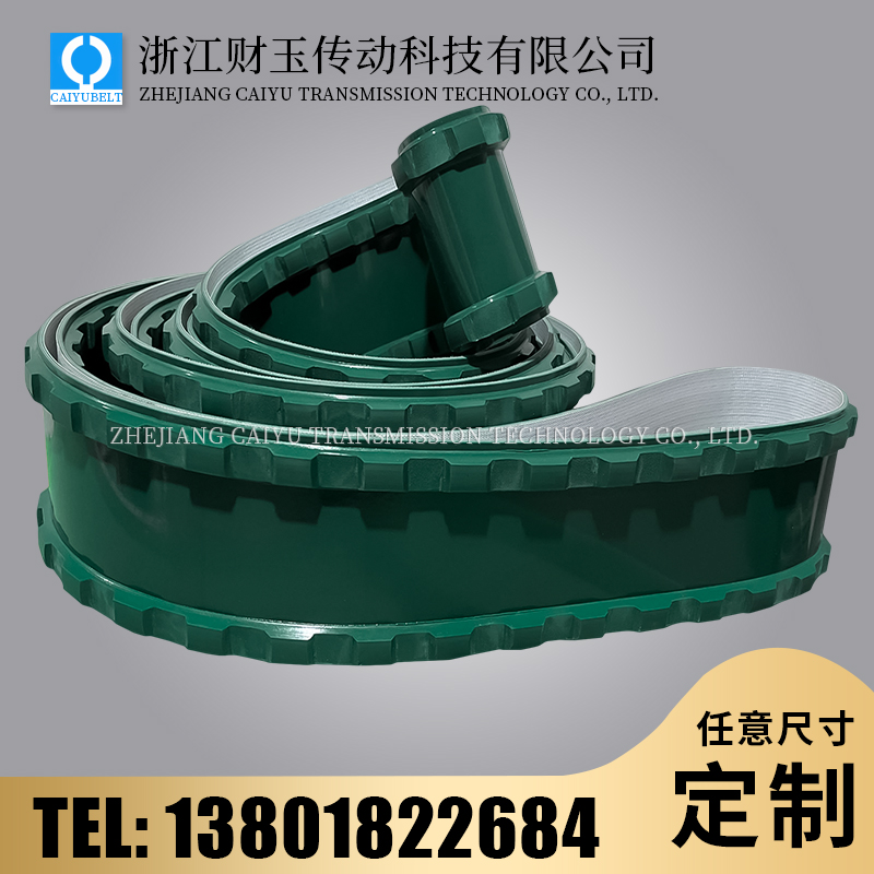 浙江財(cái)玉傳動(dòng)科技有限公司/CAIYUBELT/導(dǎo)條輸送帶