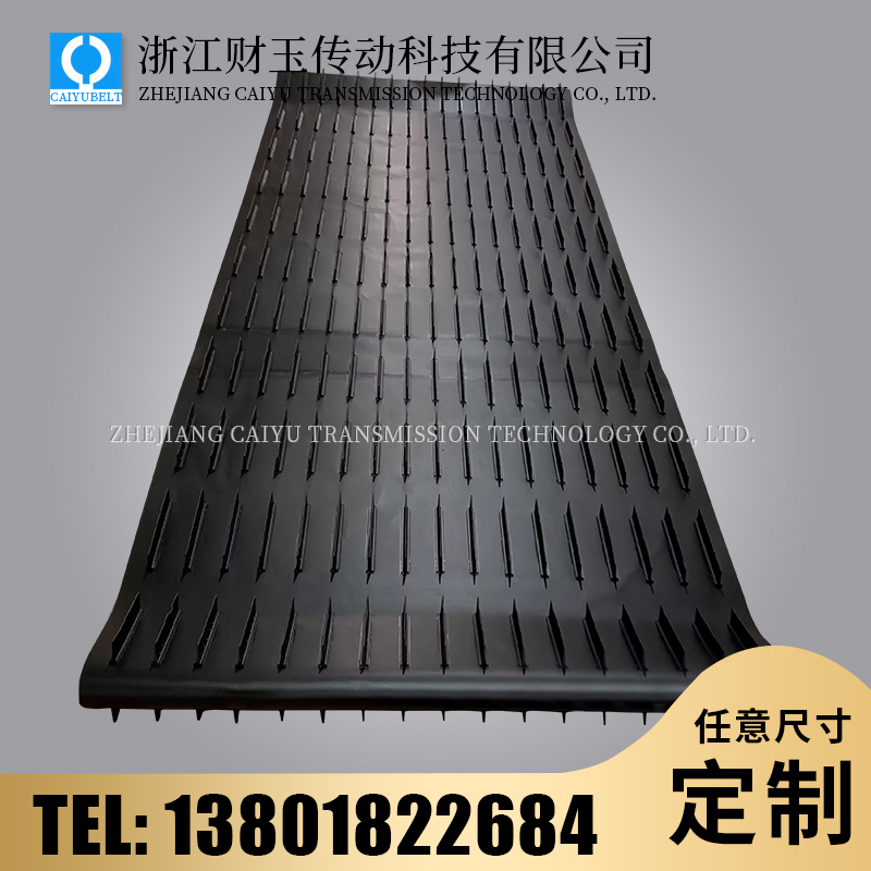 浙江財(cái)玉傳動(dòng)科技有限公司/CAIYUBELT/擋板輸送帶