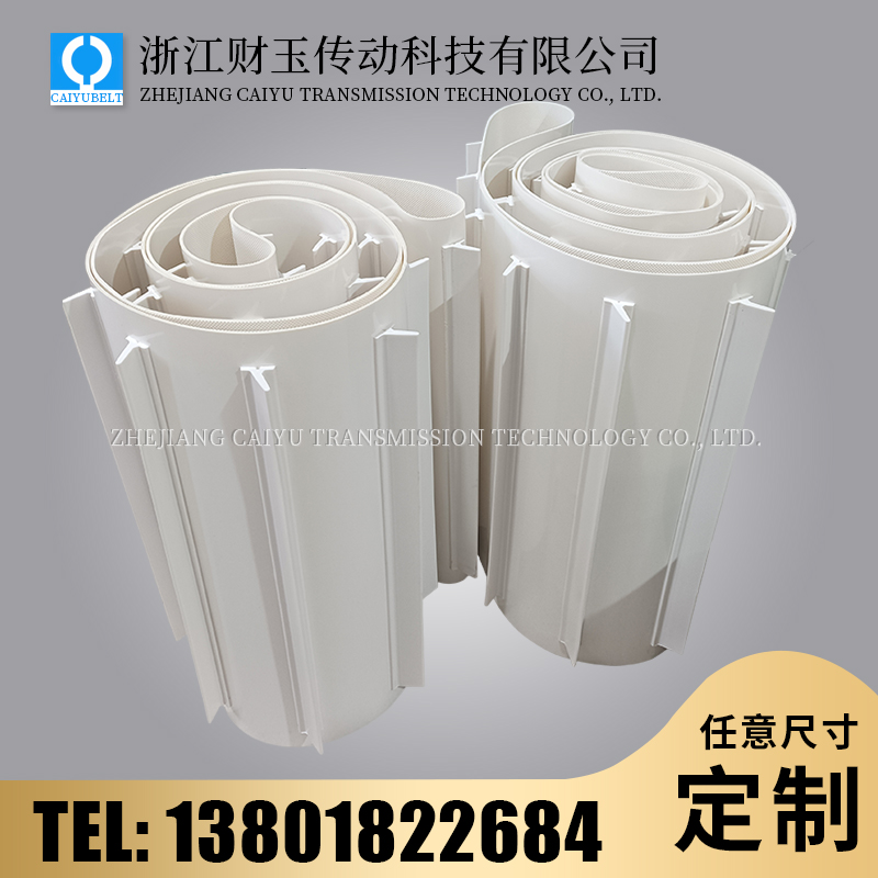 浙江財玉傳動科技有限公司/CAIYUBELT/擋板輸送帶