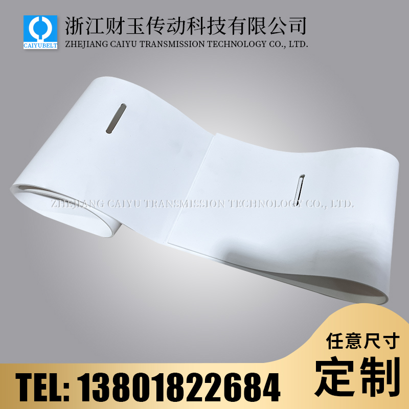浙江財玉傳動科技有限公司/CAIYUBELT/白色PVC打孔輸送帶