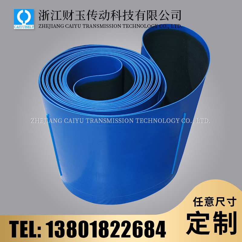 浙江財玉傳動科技有限公司/CAIYUBELT/輸送帶加導(dǎo)條