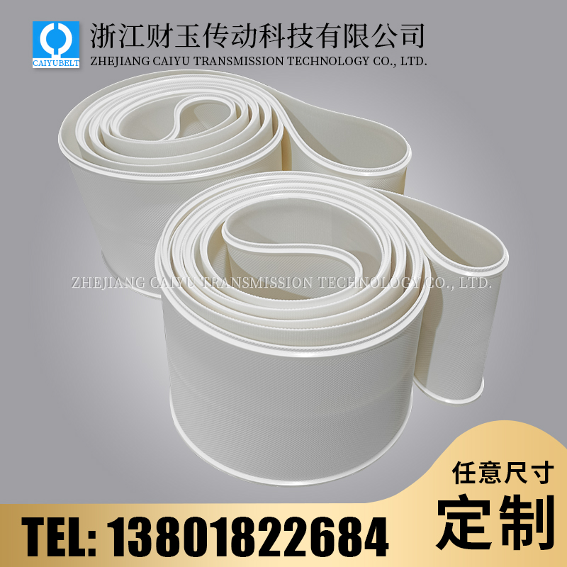 浙江財(cái)玉傳動(dòng)科技有限公司/CAIYUBELT/PVC輸送帶