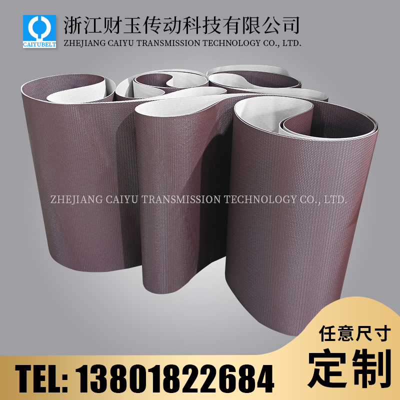 浙江財(cái)玉傳動(dòng)科技有限公司/CAIYUBELT/PU蛇皮紋網(wǎng)眼紋輸送帶