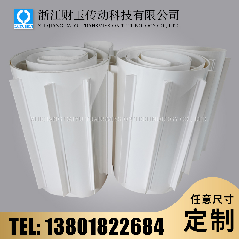 浙江財玉傳動科技有限公司/CAIYUBELT/白色亞光擋板輸送帶