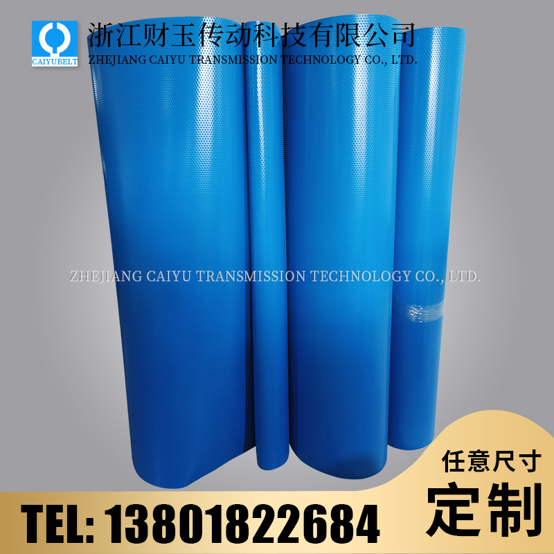 浙江財(cái)玉傳動(dòng)科技有限公司/CAIYUBELT/藍(lán)色小圓點(diǎn)輸送帶