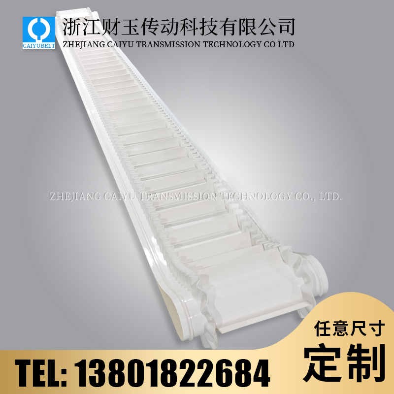 浙江財(cái)玉傳動科技有限公司/CAIYUBELT/PVC白色裙邊帶