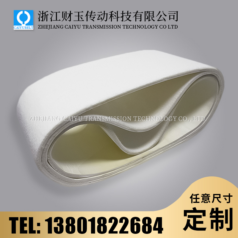 浙江財(cái)玉傳動(dòng)科技有限公司/CAIYUBELT/毛氈輸送帶