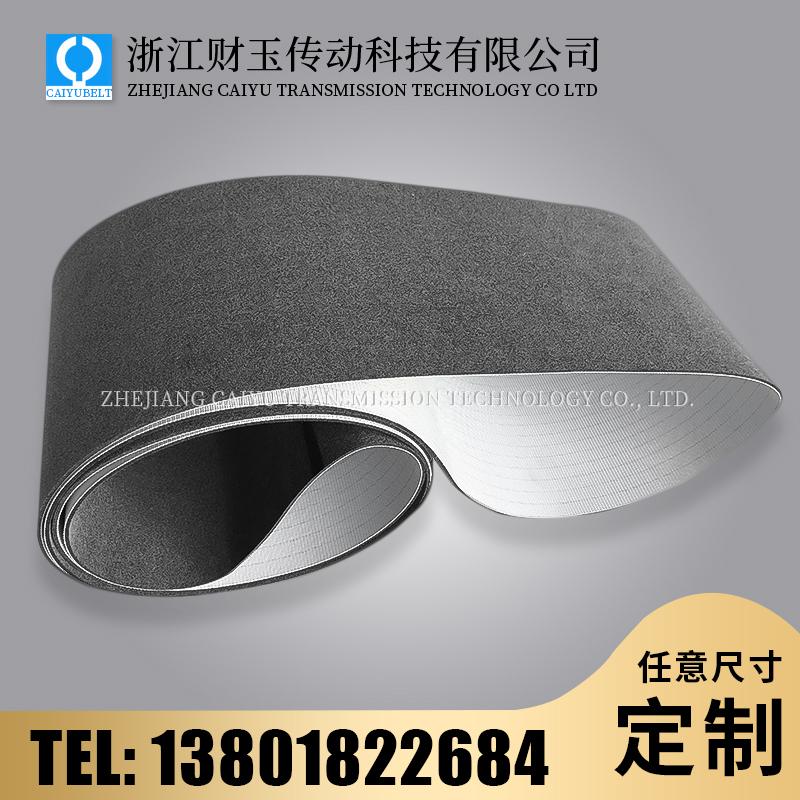 浙江財(cái)玉傳動(dòng)科技有限公司/CAIYUBELT/毛氈輸送帶