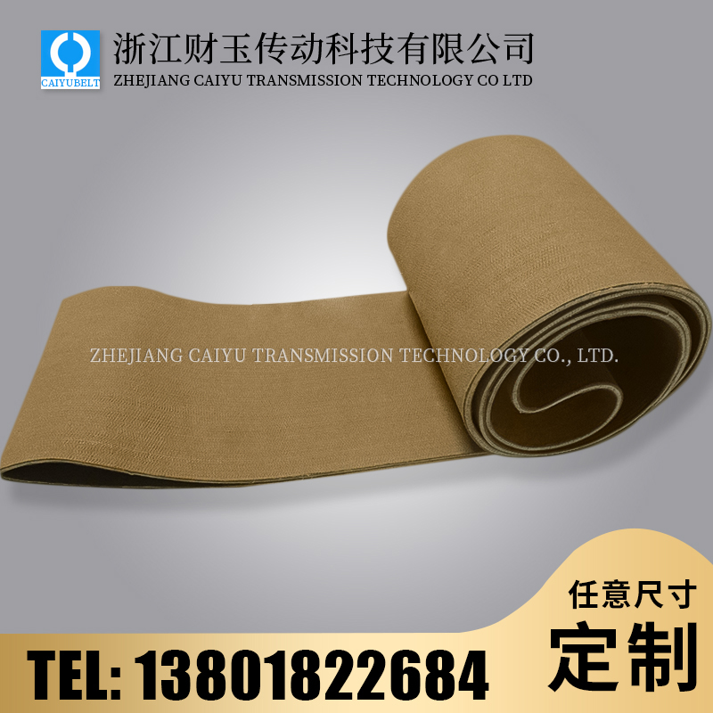 浙江財(cái)玉傳動(dòng)科技有限公司/CAIYUBELT/毛氈輸送帶