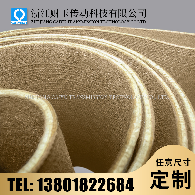 浙江財(cái)玉傳動(dòng)科技有限公司/CAIYUBELT/毛氈輸送帶