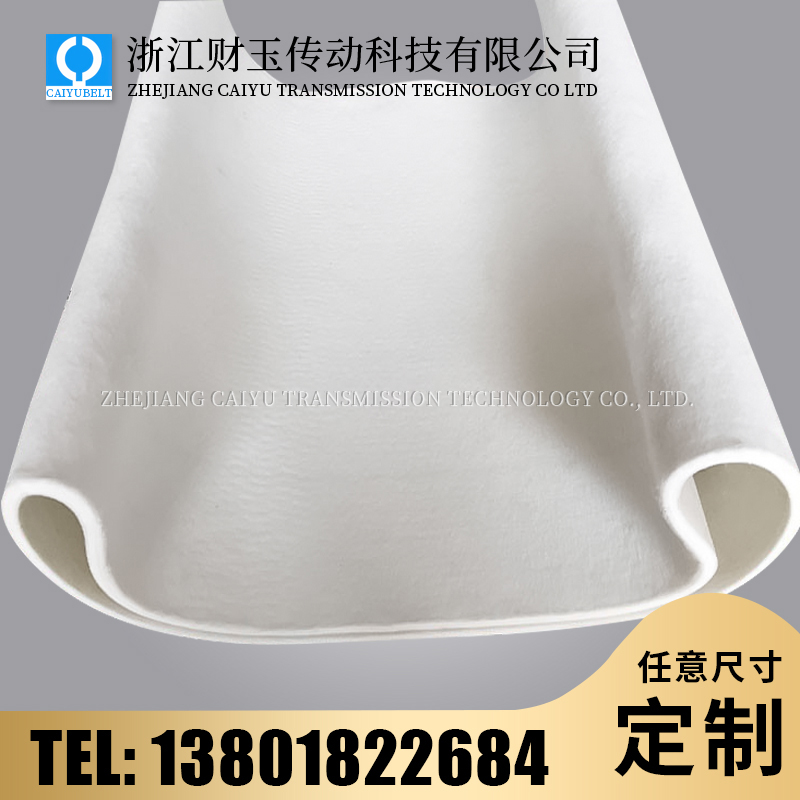 浙江財(cái)玉傳動(dòng)科技有限公司/CAIYUBELT/毛氈輸送帶