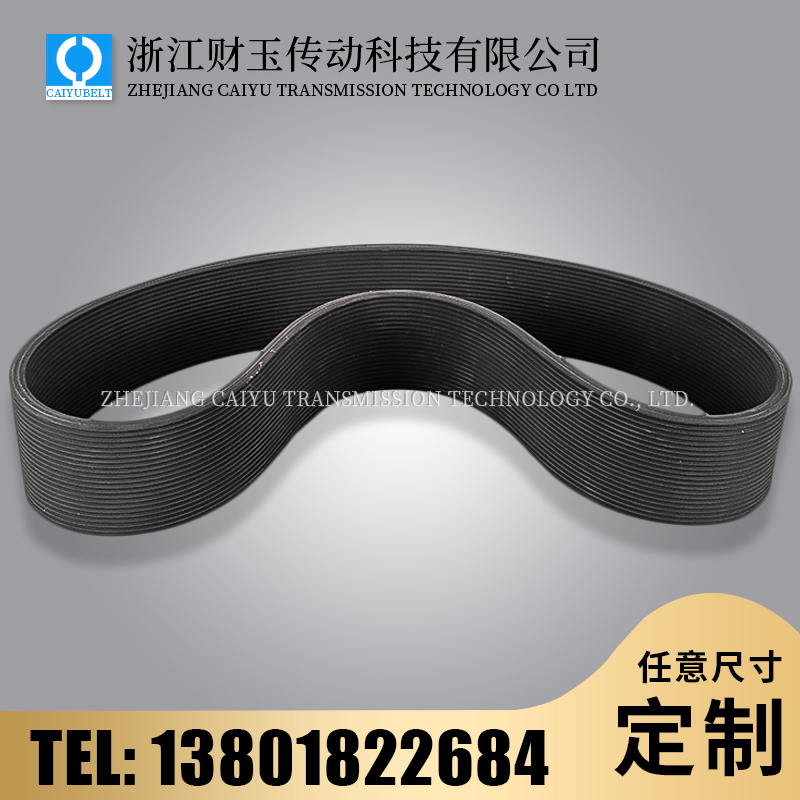 浙江財(cái)玉傳動科技有限公司/CAIYUBELT/齒楔帶