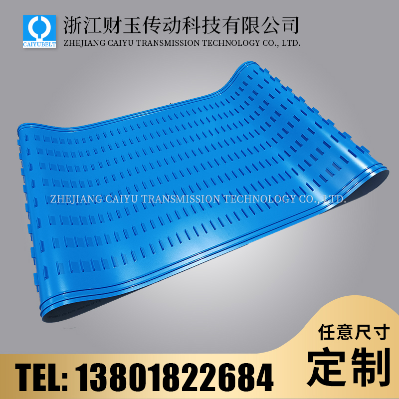 浙江財(cái)玉傳動(dòng)科技有限公司/CAIYUBELT/藍(lán)色擋板輸送帶