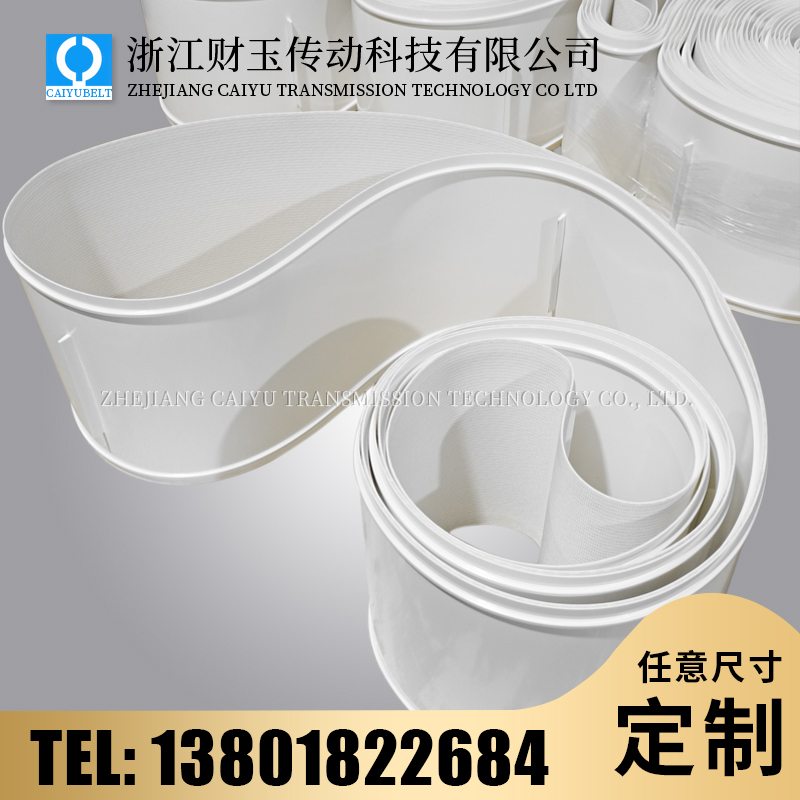 浙江財玉傳動科技有限公司/CAIYUBELT/PU擋板輸送帶 工業(yè)皮帶