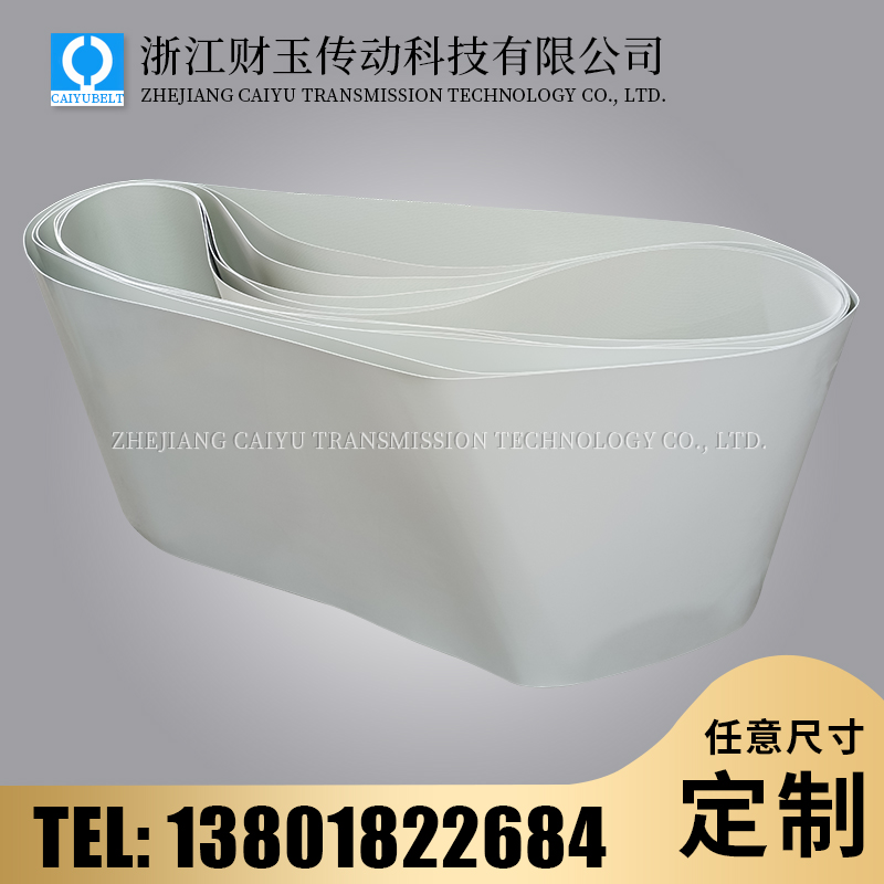 浙江財(cái)玉傳動(dòng)科技有限公司/CAIYUBELT/白色亞光輸送帶