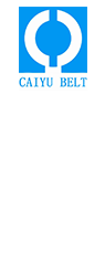 浙江財(cái)玉傳動(dòng)科技有限公司